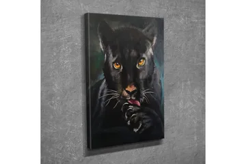 Lerretsbilde - Svart panter med intense øyne som slikker poten sin - Svart / Gull / Mørkegrønn - Interiør - Maleri & posters - Lerretsbilder