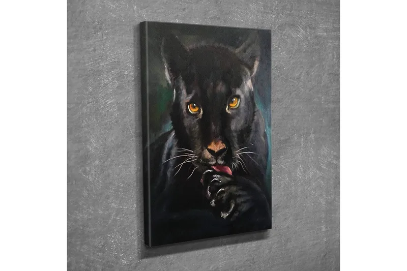 Lerretsbilde - Svart panter med intense øyne som slikker poten sin - Svart / Gull / Mørkegrønn - Interiør - Maleri & posters - Lerretsbilder