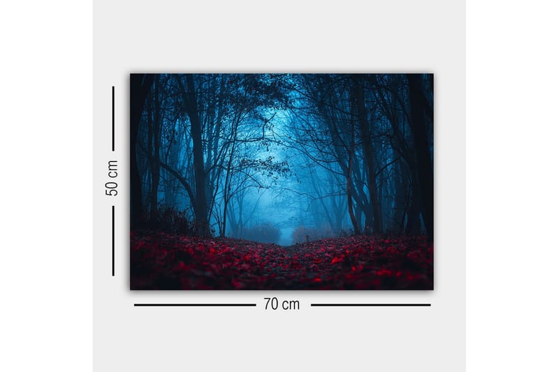 Lerretsbilde - Tåkete skog med rødlige blader i en mystisk atmosfære - Mørk blå / Rød - Interiør - Maleri & posters - Lerretsbilder