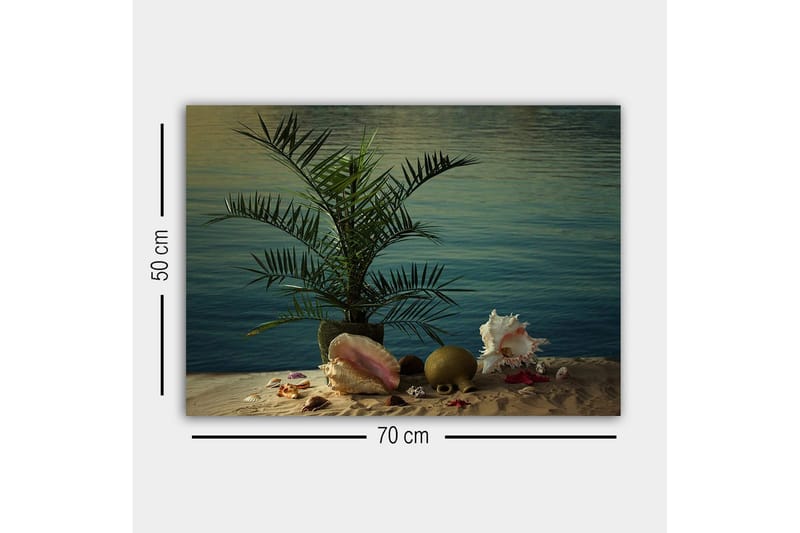 Lerretsbilde - Tropisk ro med palme og skjell ved vannet - Grønn / Beige / Rosa - Interiør - Maleri & posters - Lerretsbilder