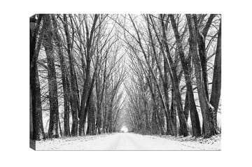 Lerretsbilde - Ufruktbar allé med nakne trær i vinterlandskap - Svart / Hvit / Grå - Interiør - Maleri & posters - Lerretsbilder