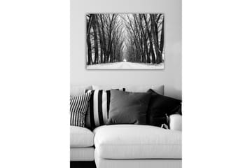 Lerretsbilde - Ufruktbar allé med nakne trær i vinterlandskap - Svart / Hvit / Grå - Interiør - Maleri & posters - Lerretsbilder