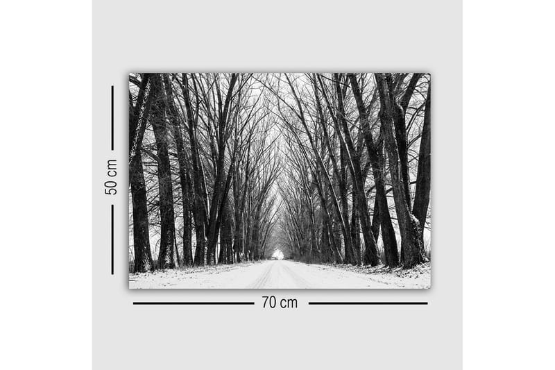 Lerretsbilde - Ufruktbar allé med nakne trær i vinterlandskap - Svart / Hvit / Grå - Interiør - Maleri & posters - Lerretsbilder