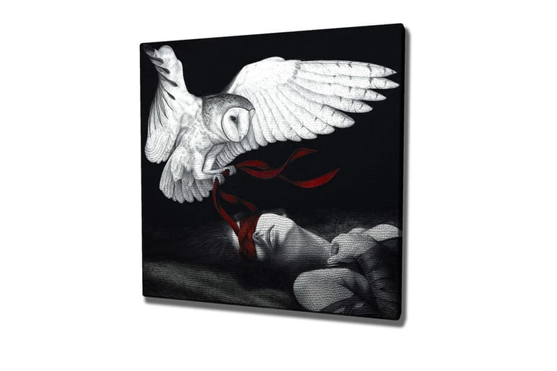 Lerretsbilde - Ugle som svever over en sovende person med røde bånd, Hvit / Svart / Rød