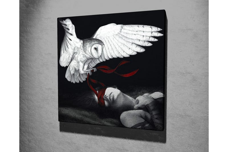 Lerretsbilde - Ugle som svever over en sovende person med røde bånd - Hvit / Svart / Rød - Interiør - Maleri & posters - Lerretsbilder