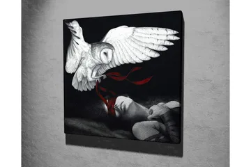 Lerretsbilde - Ugle som svever over en sovende person med røde bånd - Hvit / Svart / Rød - Interiør - Maleri & posters - Lerretsbilder