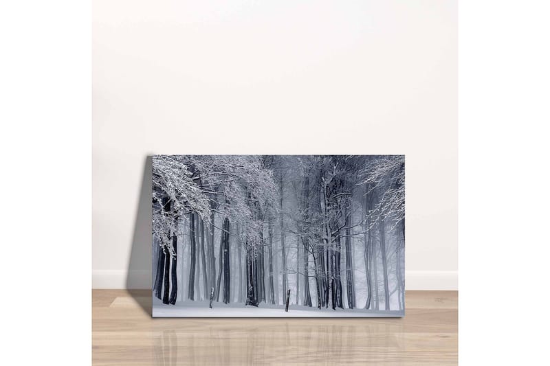 Lerretsbilde - Vinterskog med snødekte trær - Hvit / Grå / Svart - Interiør - Maleri & posters - Lerretsbilder