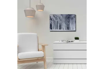 Lerretsbilde - Vinterskog med snødekte trær - Hvit / Grå / Svart - Interiør - Maleri & posters - Lerretsbilder