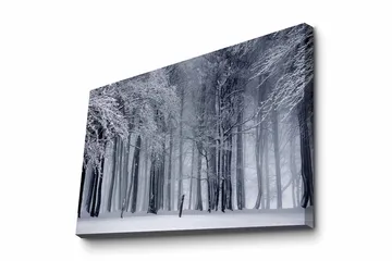 Lerretsbilde - Vinterskog med snødekte trær - Hvit / Grå / Svart - Interiør - Maleri & posters - Lerretsbilder