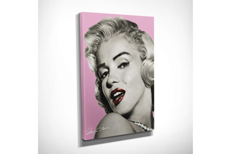 Lite lerretsbilde 30x40 cm - Portrett av en glamorøs kvinne med vintagestil - Rosa / Svart / Hvit - Interiør - Maleri & posters - Lerretsbilder