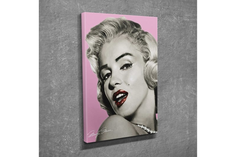 Lite lerretsbilde 30x40 cm - Portrett av en glamorøs kvinne med vintagestil - Rosa / Svart / Hvit - Interiør - Maleri & posters - Lerretsbilder