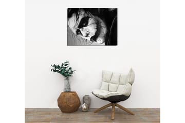 Lite lerretsbilde 40x30 cm - Intens portrett av en skremmende karakter med dramatiske uttrykk - Svart / Hvit / Grå - Interiør - Maleri & posters - Lerretsbilder