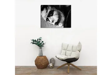 Lite lerretsbilde 40x30 cm - Intens portrett av en skremmende karakter med dramatiske uttrykk - Svart / Hvit / Grå - Interiør - Maleri & posters - Lerretsbilder