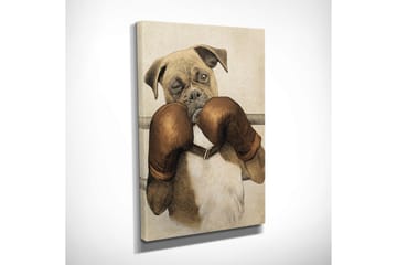 Liten lerretsbilde 30x40 cm - Boksehund med hansker - Brun / Beige / Hvit - Interiør - Maleri & posters - Lerretsbilder