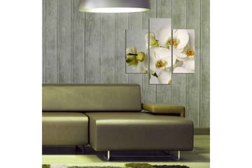 MDF-bilde Dekorativ 3 Deler - Flerfarget - Interiør - Maleri & posters - Lerretsbilder