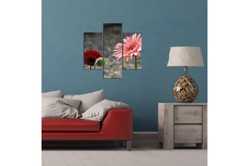 MDF-bilde Dekorativ 3 Deler - Flerfarget - Interiør - Maleri & posters - Lerretsbilder