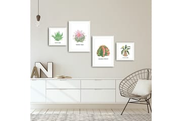 MDF-bilde Dekorativ 4 Deler - Flerfarget - Interiør - Maleri & posters - Lerretsbilder
