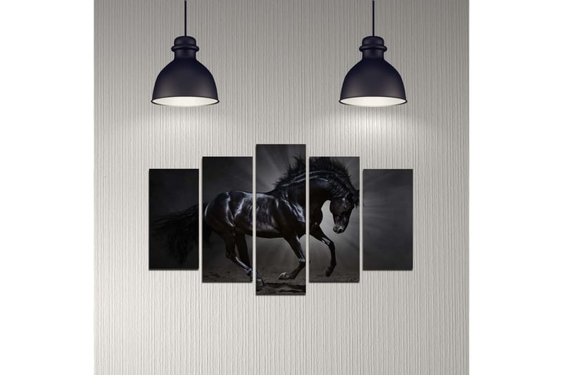 MDF-bilde Dekorativ 5 Deler - Flerfarget - Interiør - Maleri & posters - Lerretsbilder