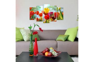 MDF-bilde Dekorativ 5 Deler - Flerfarget - Interiør - Maleri & posters - Lerretsbilder