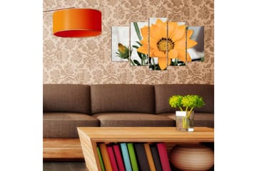 MDF-bilde Dekorativ 5 Deler - Flerfarget - Interiør - Maleri & posters - Lerretsbilder