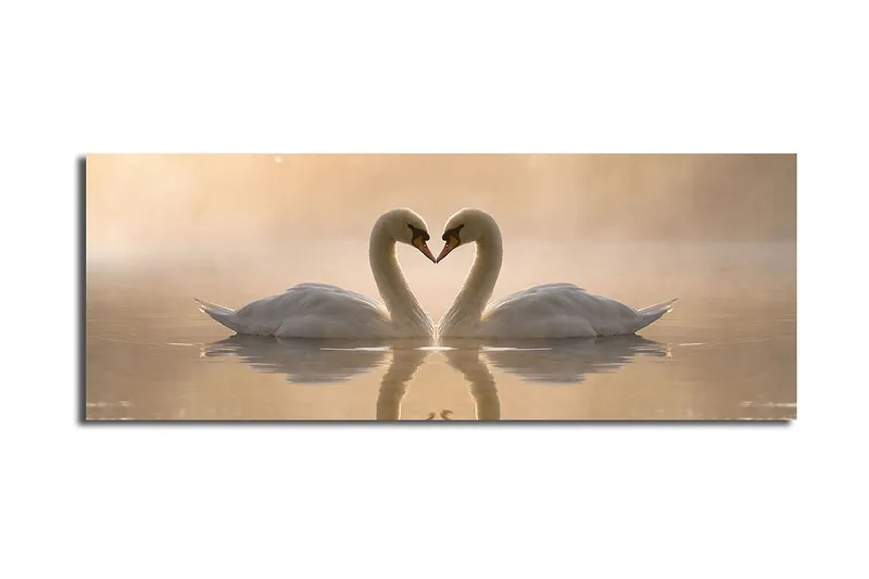 Stort lerretsbilde 90x30 cm - To svaner som danner et hjerte med halsen - Hvit / Beige - Interiør - Maleri & posters - Lerretsbilder