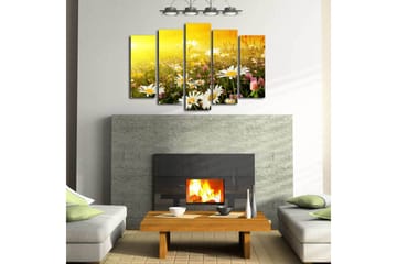 Stort lerretsbilde i 5 deler 105x70 cm - Blomstrende eng med tusenfryd og kløverblomster - Gul / Hvit / Grønn - Interiør - Maleri & posters - Lerretsbilder
