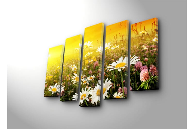 Stort lerretsbilde i 5 deler 105x70 cm - Blomstrende eng med tusenfryd og kløverblomster - Gul / Hvit / Grønn - Interiør - Maleri & posters - Lerretsbilder