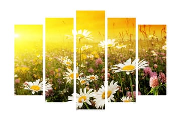Stort lerretsbilde i 5 deler 105x70 cm - Blomstrende eng med tusenfryd og kløverblomster - Gul / Hvit / Grønn - Interiør - Maleri & posters - Lerretsbilder