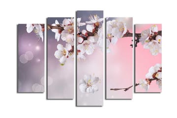 Stort lerretsbilde i 5 deler 105x70 cm - Blomstrende kirsebærgren med hvite blomster - Hvit / Lilla / Rosa - Interiør - Maleri & posters - Lerretsbilder