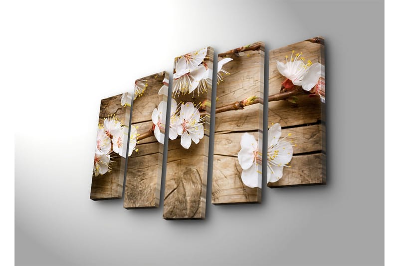 Stort lerretsbilde i 5 deler 105x70 cm - Blomstrende kvister med hvite blomster - Hvit / Gul / Brun - Interiør - Maleri & posters - Lerretsbilder