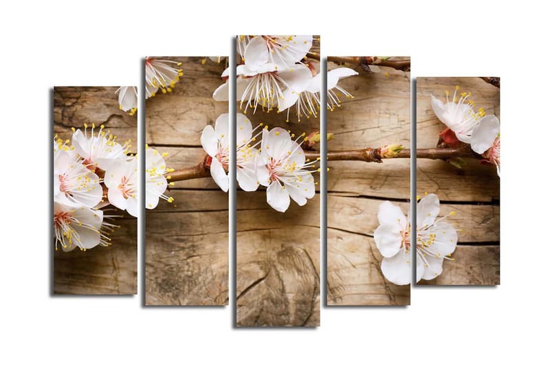 Stort lerretsbilde i 5 deler 105x70 cm - Blomstrende kvister med hvite blomster - Hvit / Gul / Brun - Interiør - Maleri & posters - Lerretsbilder