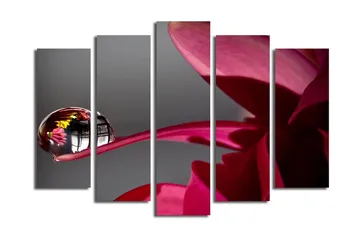Stort lerretsbilde i 5 deler 105x70 cm - Dråper på en blomst med refleksjoner av omgivelsene - Mørk rød / Rosa / Klar (gjennomsiktig) - Interiør - Maleri & posters - Lerretsbilder