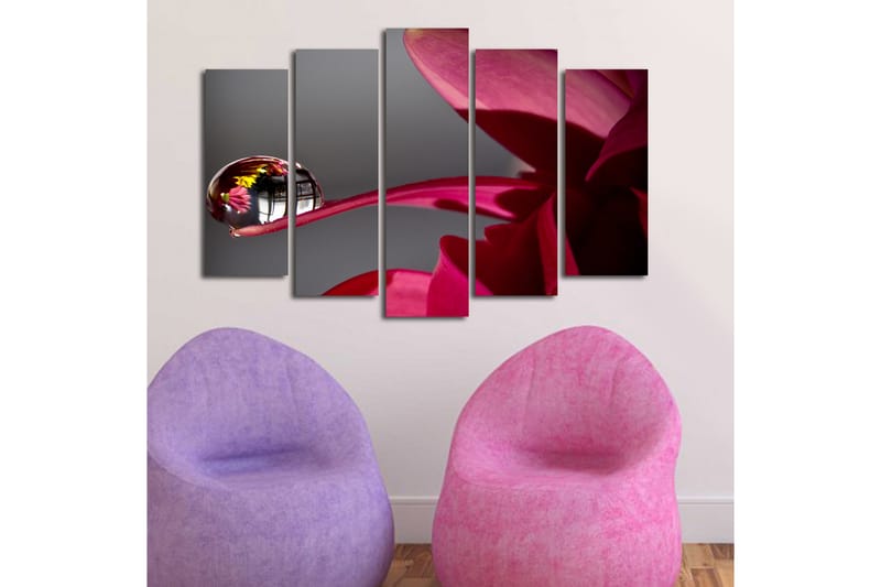 Stort lerretsbilde i 5 deler 105x70 cm - Dråper på en blomst med refleksjoner av omgivelsene - Mørk rød / Rosa / Klar (gjennomsiktig) - Interiør - Maleri & posters - Lerretsbilder