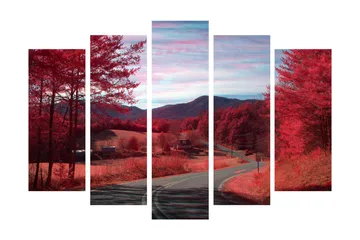 Stort lerretsbilde i 5 deler 105x70 cm - Dramatisk landskap med røde trær og en svingete vei - Rød / Rosa - Interiør - Maleri & posters - Lerretsbilder