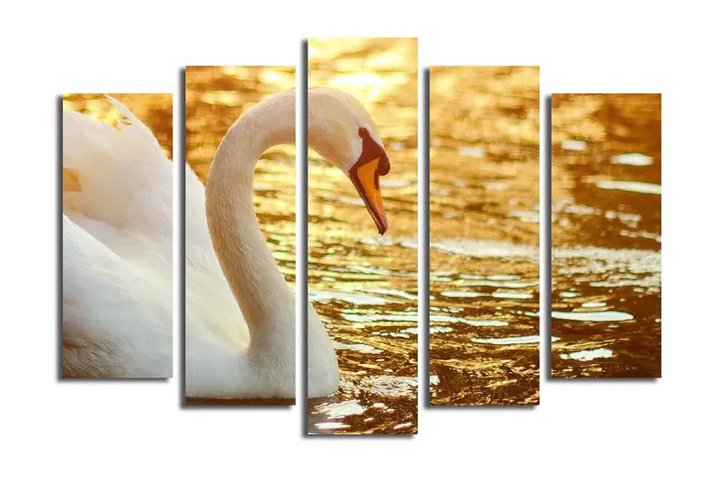 Stort lerretsbilde i 5 deler 105x70 cm - Elegant svane ved vannoverflaten - Hvit / Gull / Oransje - Interiør - Maleri & posters - Lerretsbilder