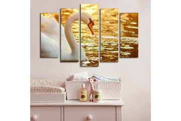 Stort lerretsbilde i 5 deler 105x70 cm - Elegant svane ved vannoverflaten - Hvit / Gull / Oransje - Interiør - Maleri & posters - Lerretsbilder
