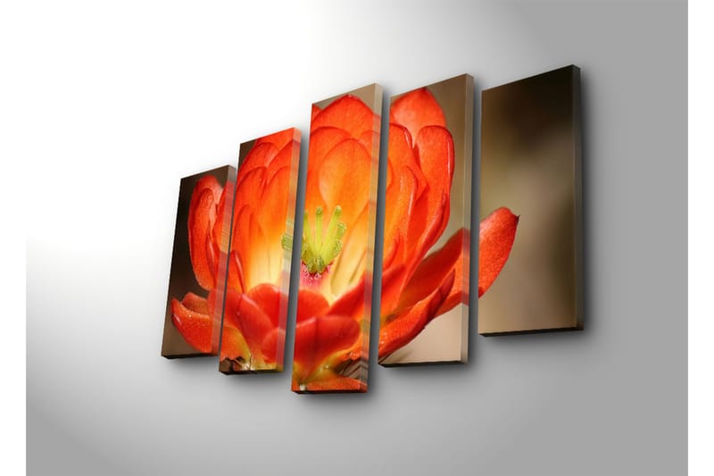 Stort lerretsbilde i 5 deler 105x70 cm - Fargerik blomst med dype oransje og røde nyanser - Oransje / Grønn - Interiør - Maleri & posters - Lerretsbilder