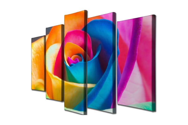 Stort lerretsbilde i 5 deler 105x70 cm - Fargerik rose med intense nyanser - Oransje / Blå / Rosa - Interiør - Maleri & posters - Lerretsbilder