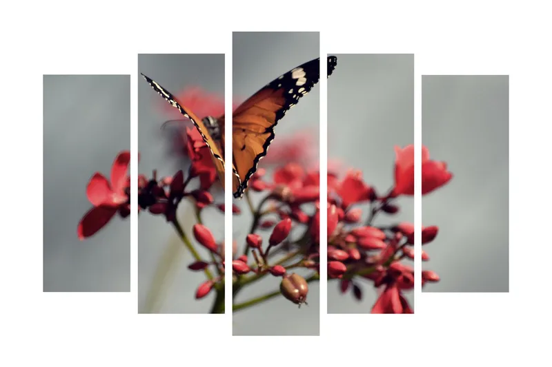 Stort lerretsbilde i 5 deler 105x70 cm - Fargerik sommerfugl på blomster - Oransje / Rød / Grønn - Interiør - Maleri & posters - Lerretsbilder