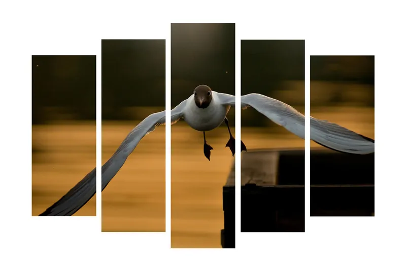 Stort lerretsbilde i 5 deler 105x70 cm - Flygende måke i en gyllen skumring - Hvit / Svart / Gyllen - Interiør - Maleri & posters - Lerretsbilder