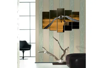 Stort lerretsbilde i 5 deler 105x70 cm - Flygende måke i en gyllen skumring - Hvit / Svart / Gyllen - Interiør - Maleri & posters - Lerretsbilder