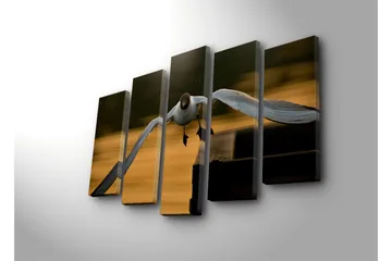 Stort lerretsbilde i 5 deler 105x70 cm - Flygende måke i en gyllen skumring - Hvit / Svart / Gyllen - Interiør - Maleri & posters - Lerretsbilder