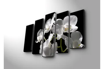 Stort lerretsbilde i 5 deler 105x70 cm - Hvit orkidé med elegante blomster - Hvit / Grønn - Interiør - Maleri & posters - Lerretsbilder