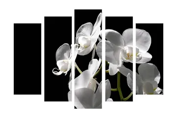 Stort lerretsbilde i 5 deler 105x70 cm - Hvit orkidé med elegante blomster - Hvit / Grønn - Interiør - Maleri & posters - Lerretsbilder