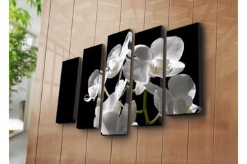 Stort lerretsbilde i 5 deler 105x70 cm - Hvit orkidé med elegante blomster - Hvit / Grønn - Interiør - Maleri & posters - Lerretsbilder