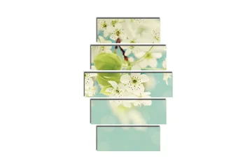 Stort lerretsbilde i 5 deler 105x70 cm - Hvite hortensiaer i blomst mot en myk blå bakgrunn - Hvit / Grønn / Blå - Interiør - Maleri & posters - Lerretsbilder