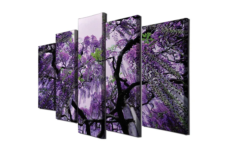Stort lerretsbilde i 5 deler 105x70 cm - Lilla blåregnblomst hengende - Lilla / Grønn / Svart - Interiør - Maleri & posters - Lerretsbilder