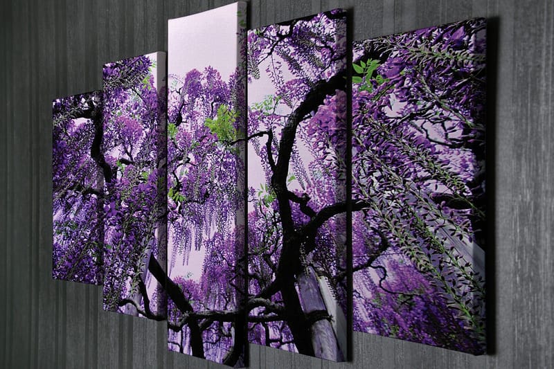 Stort lerretsbilde i 5 deler 105x70 cm - Lilla blåregnblomst hengende - Lilla / Grønn / Svart - Interiør - Maleri & posters - Lerretsbilder