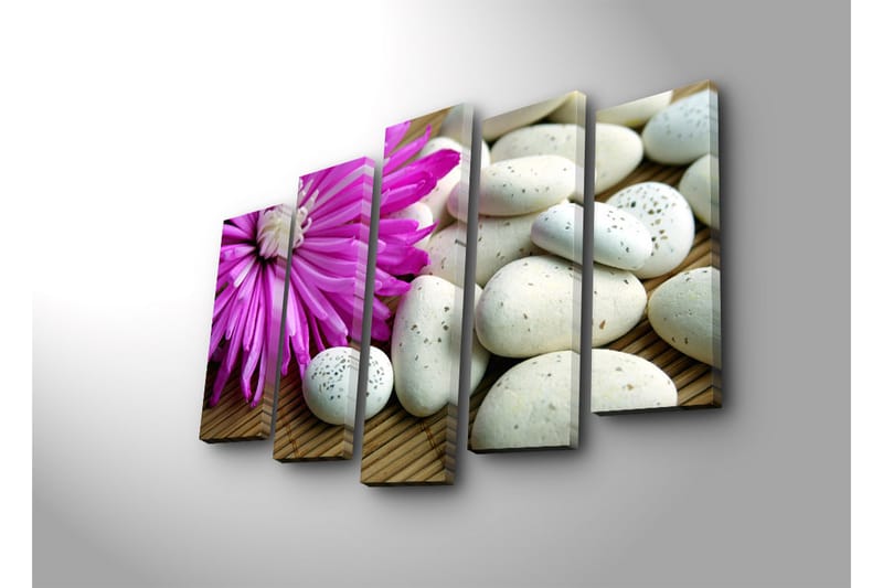 Stort lerretsbilde i 5 deler 105x70 cm - Lilla blomst med hvite steiner - Lilla / Hvit - Interiør - Maleri & posters - Lerretsbilder