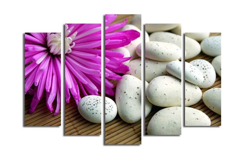 Stort lerretsbilde i 5 deler 105x70 cm - Lilla blomst med hvite steiner - Lilla / Hvit - Interiør - Maleri & posters - Lerretsbilder